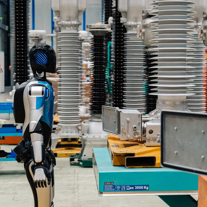Robot-Agent "Argus" at work