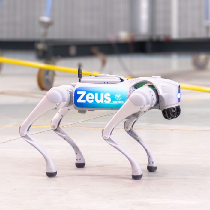 four-legged Robot-Agent named Zeus