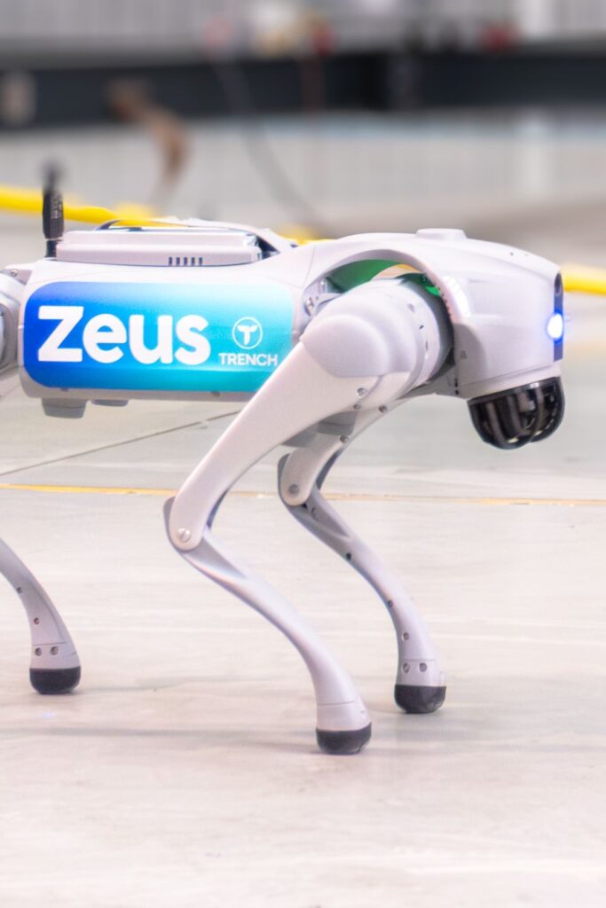four-legged Robot-Agent named Zeus