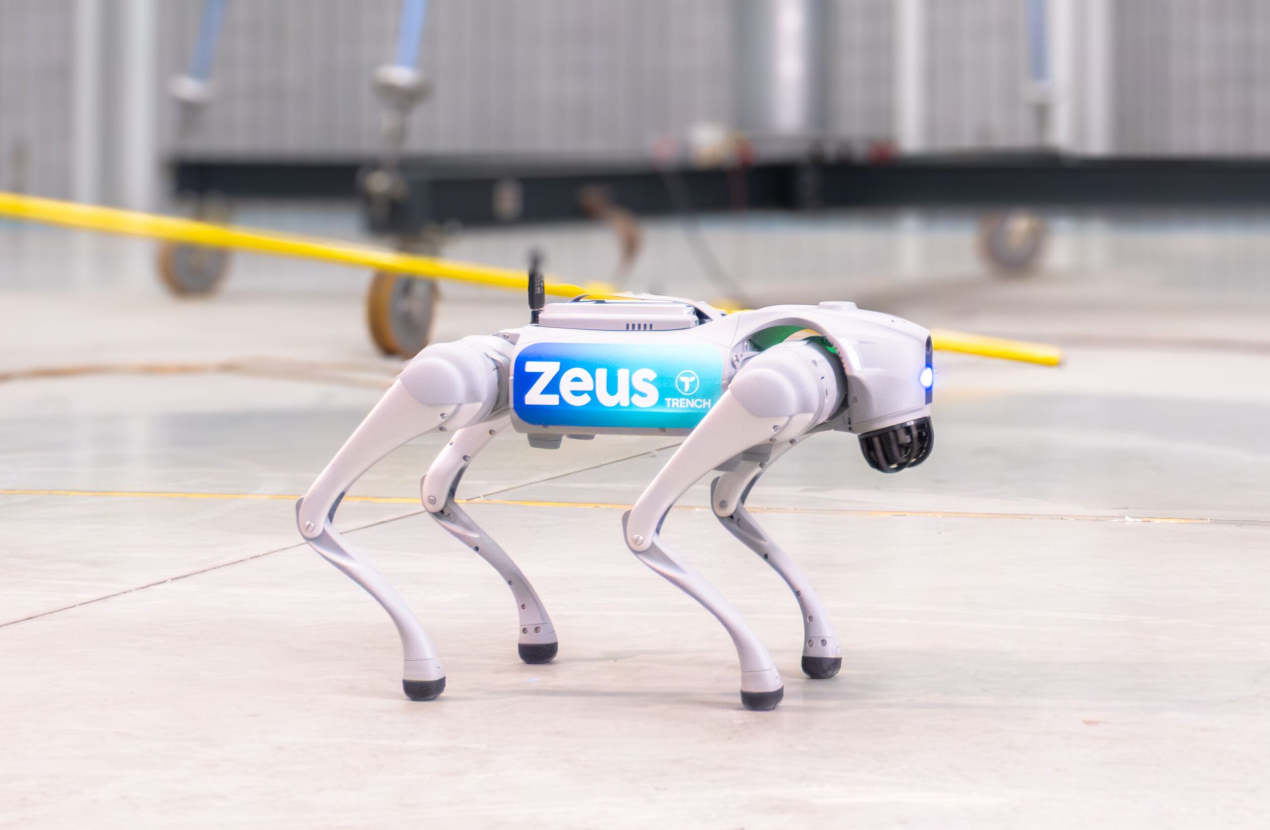 four-legged Robot-Agent named Zeus