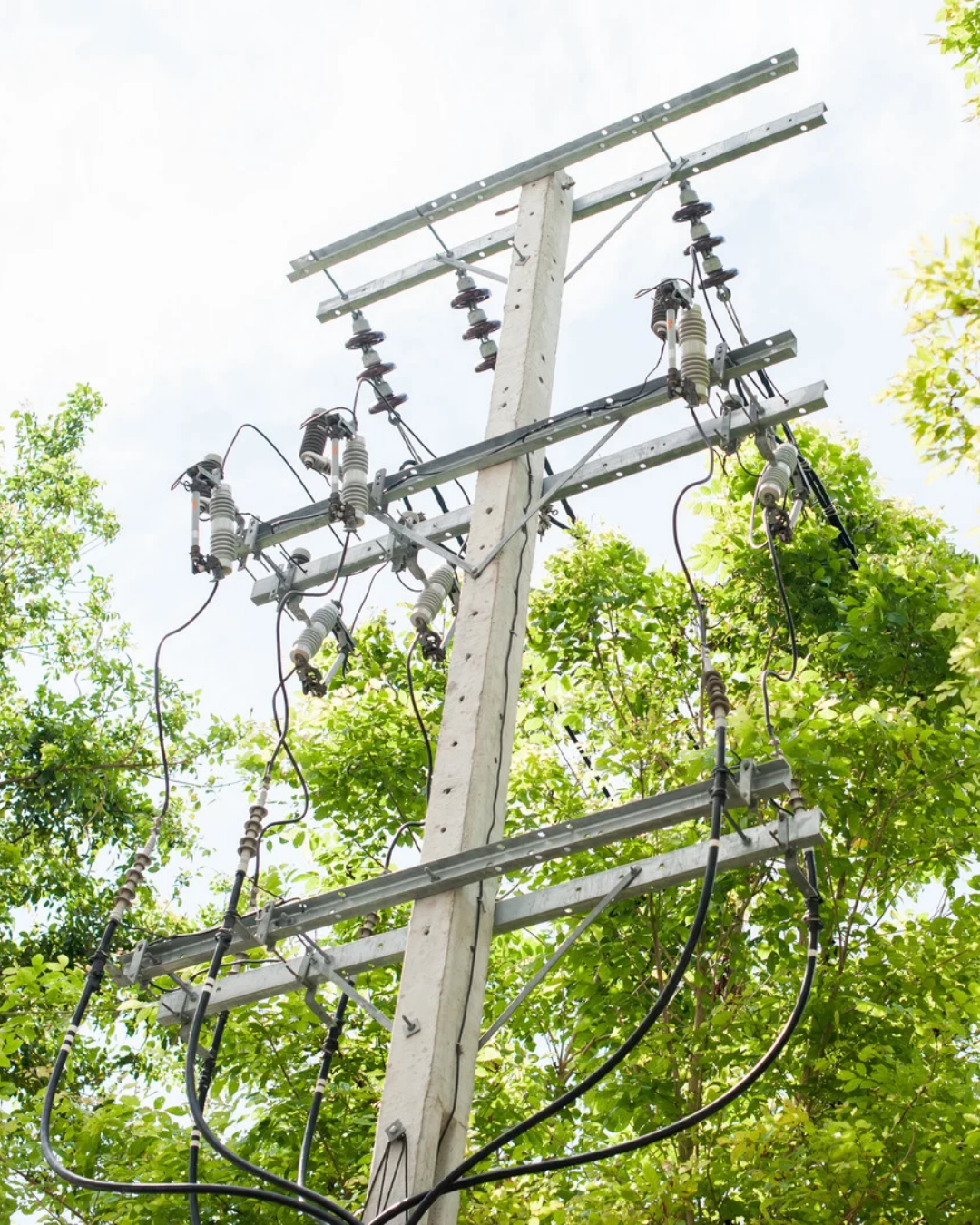 Overhead line with intersecting tree branches